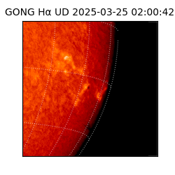 gong - 2025-03-25T02:00:42