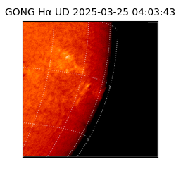 gong - 2025-03-25T04:03:43