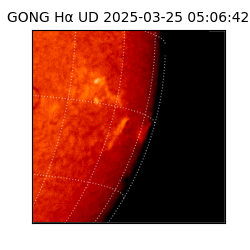 gong - 2025-03-25T05:06:42