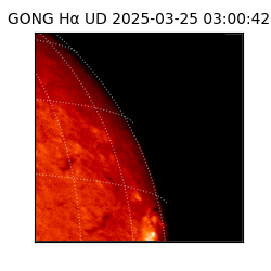gong - 2025-03-25T03:00:42
