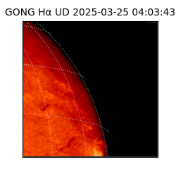 gong - 2025-03-25T04:03:43