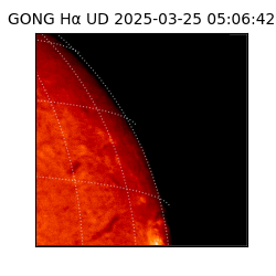 gong - 2025-03-25T05:06:42