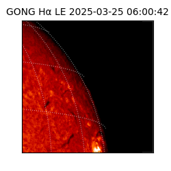 gong - 2025-03-25T06:00:42