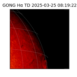 gong - 2025-03-25T08:19:22
