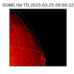 gong - 2025-03-25T09:00:22