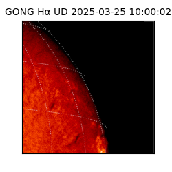 gong - 2025-03-25T10:00:02