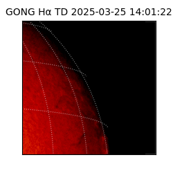 gong - 2025-03-25T14:01:22
