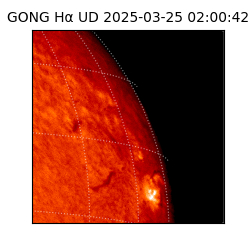 gong - 2025-03-25T02:00:42