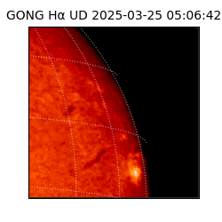 gong - 2025-03-25T05:06:42