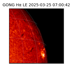 gong - 2025-03-25T07:00:42