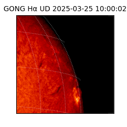 gong - 2025-03-25T10:00:02