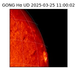 gong - 2025-03-25T11:00:02