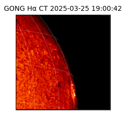 gong - 2025-03-25T19:00:42