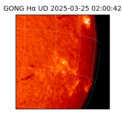 gong - 2025-03-25T02:00:42