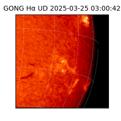 gong - 2025-03-25T03:00:42