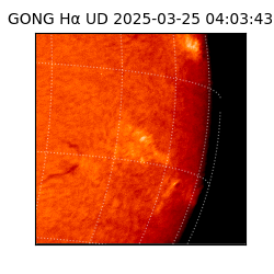 gong - 2025-03-25T04:03:43