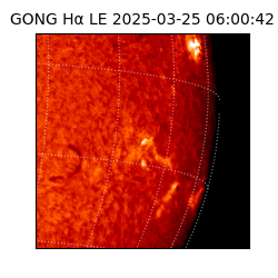 gong - 2025-03-25T06:00:42