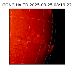 gong - 2025-03-25T08:19:22