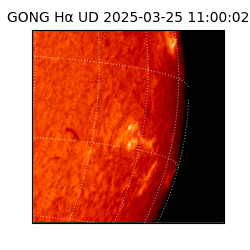 gong - 2025-03-25T11:00:02