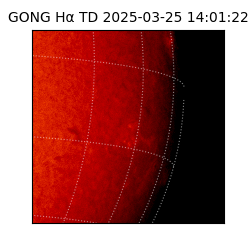 gong - 2025-03-25T14:01:22