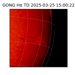 gong - 2025-03-25T15:00:22