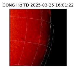 gong - 2025-03-25T16:01:22
