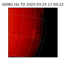gong - 2025-03-25T17:00:22