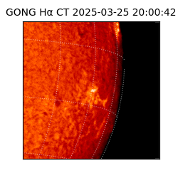 gong - 2025-03-25T20:00:42