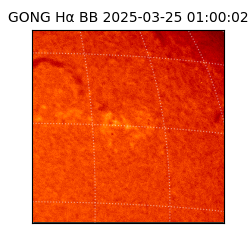 gong - 2025-03-25T01:00:02