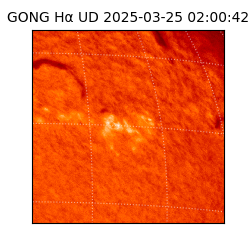 gong - 2025-03-25T02:00:42