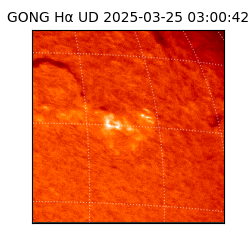 gong - 2025-03-25T03:00:42