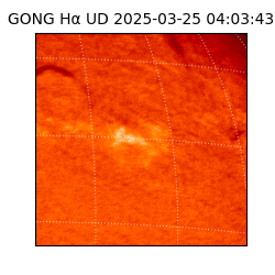 gong - 2025-03-25T04:03:43