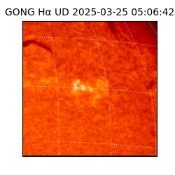 gong - 2025-03-25T05:06:42