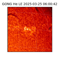 gong - 2025-03-25T06:00:42