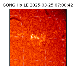 gong - 2025-03-25T07:00:42