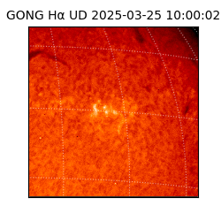 gong - 2025-03-25T10:00:02