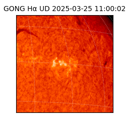 gong - 2025-03-25T11:00:02