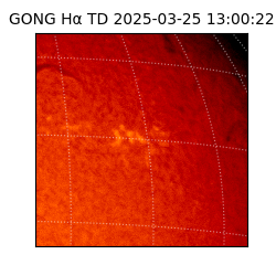 gong - 2025-03-25T13:00:22