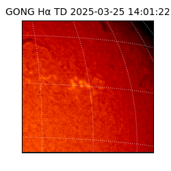 gong - 2025-03-25T14:01:22