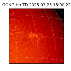 gong - 2025-03-25T15:00:22