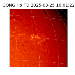 gong - 2025-03-25T16:01:22