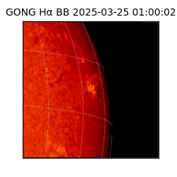 gong - 2025-03-25T01:00:02
