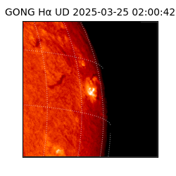 gong - 2025-03-25T02:00:42