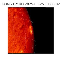 gong - 2025-03-25T11:00:02