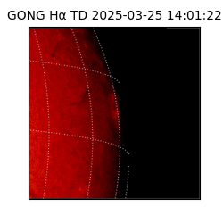 gong - 2025-03-25T14:01:22