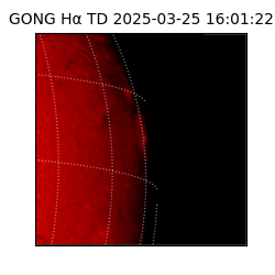 gong - 2025-03-25T16:01:22