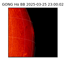 gong - 2025-03-25T23:00:02