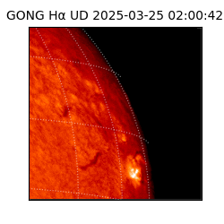 gong - 2025-03-25T02:00:42