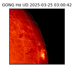 gong - 2025-03-25T03:00:42