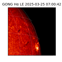 gong - 2025-03-25T07:00:42